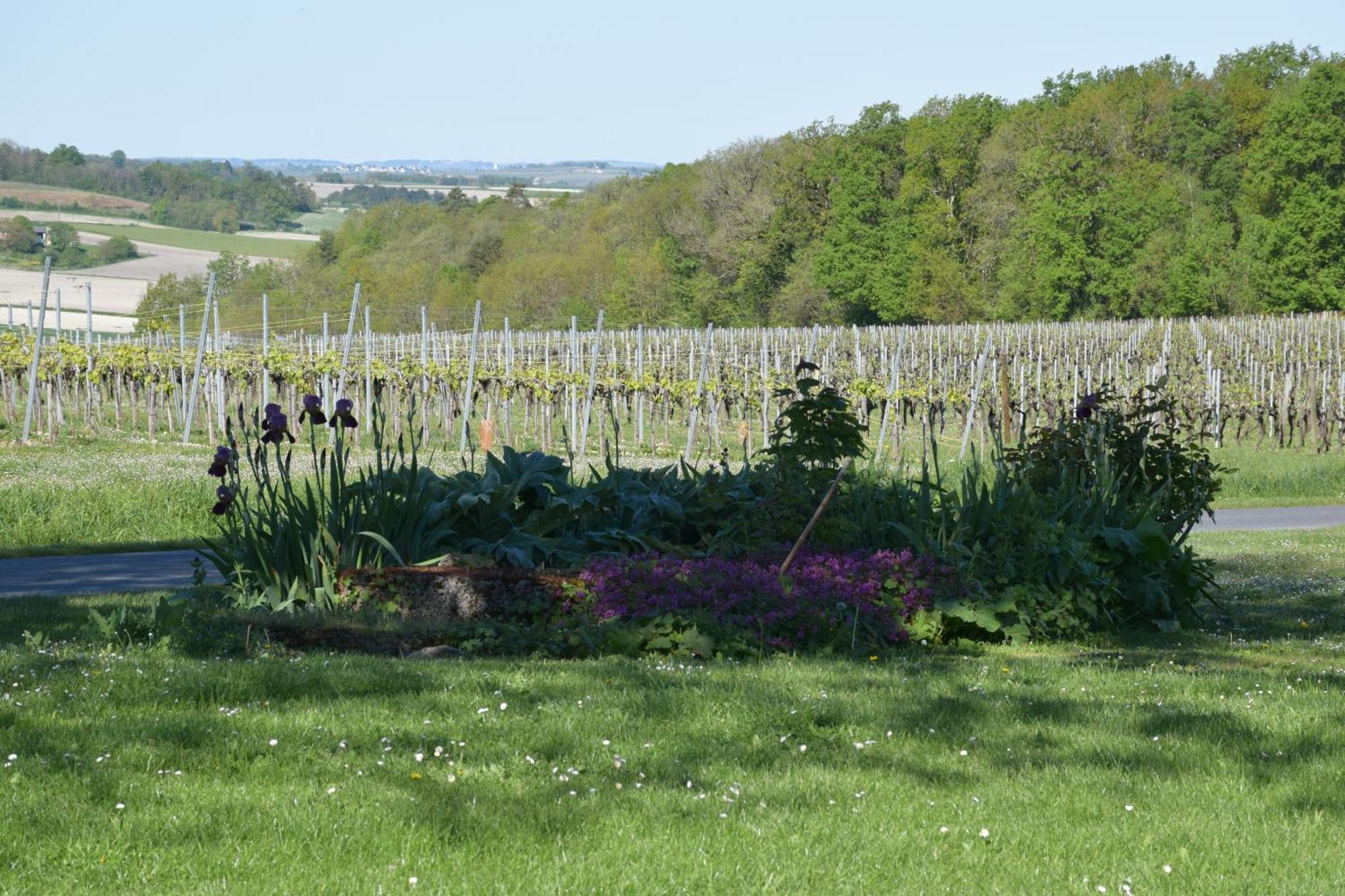 Bed and Breakfast Domaine Chez Maurice Becheresse Екстер'єр фото