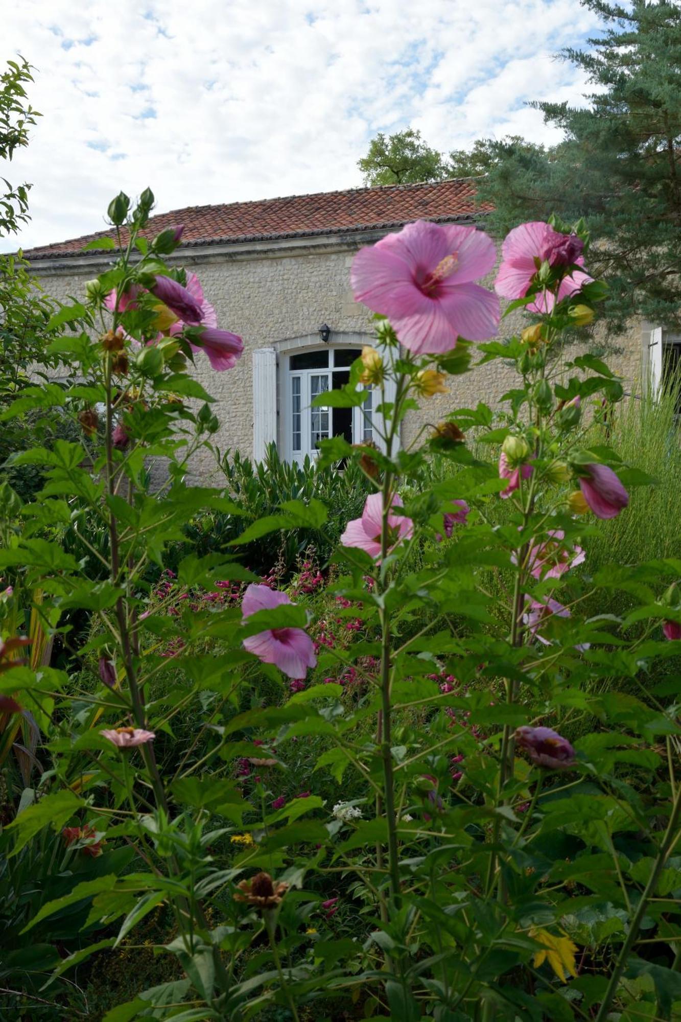 Bed and Breakfast Domaine Chez Maurice Becheresse Екстер'єр фото